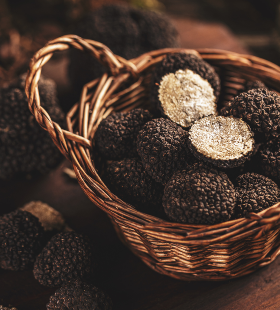 truffel