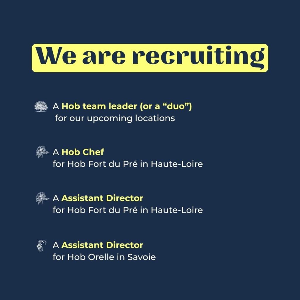 job alert